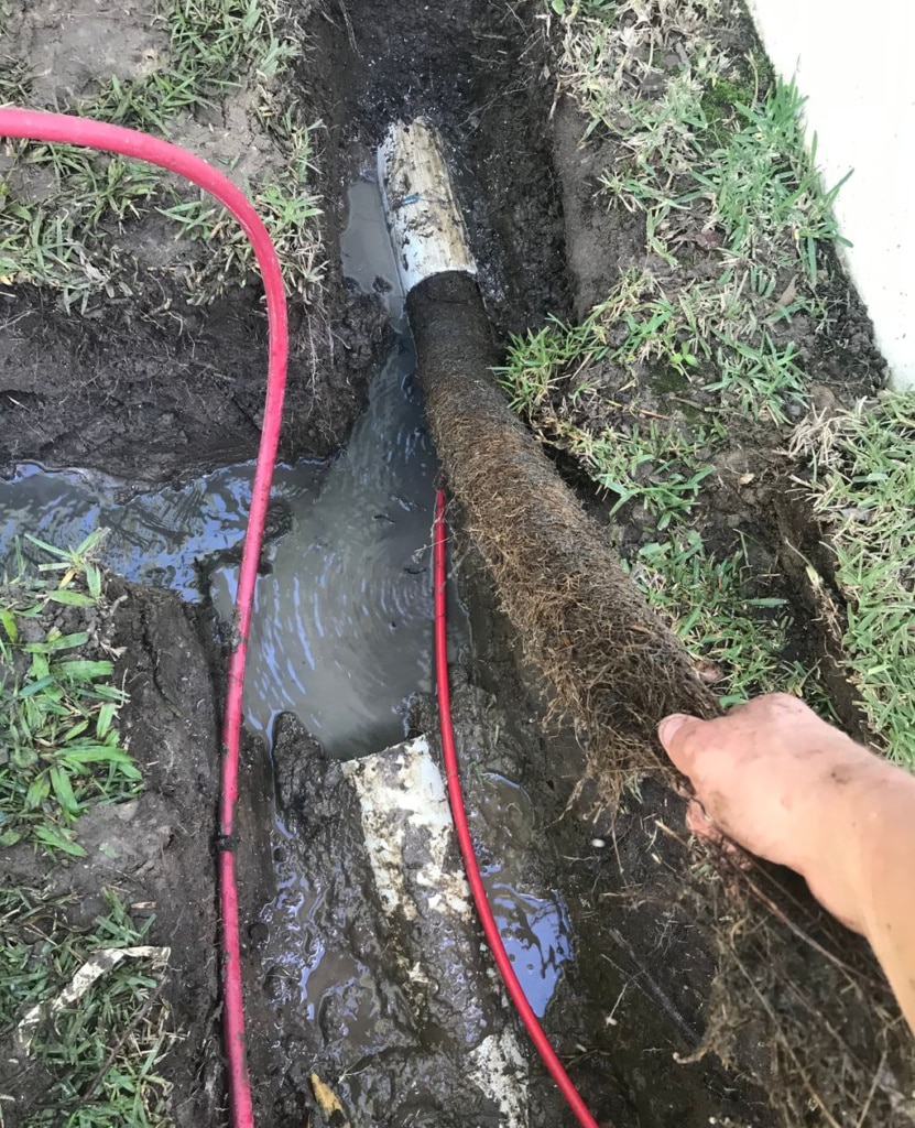 Blocked Stormwater With Tree Roots Plumber Coomera