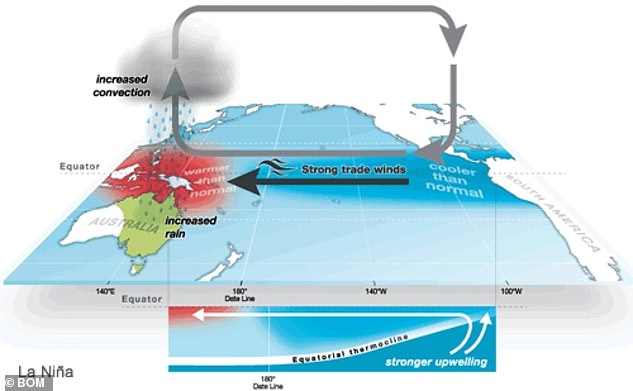 La Nina diagram, gold coast storm season