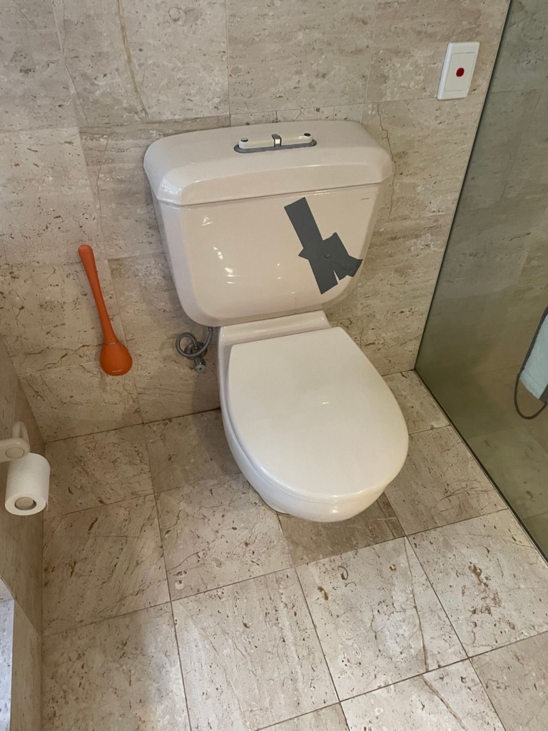 how-to-fix-a-leaking-toilet-or-cistern