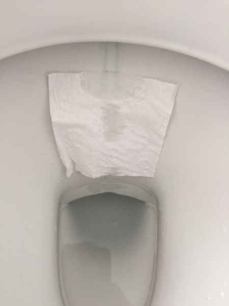 Toilet Running Into Bowl Test