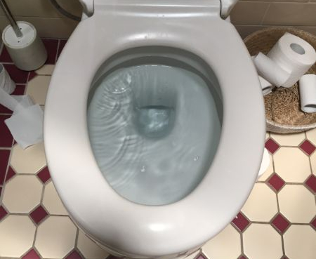 Blocked Toilet On The Gold Coast (1)