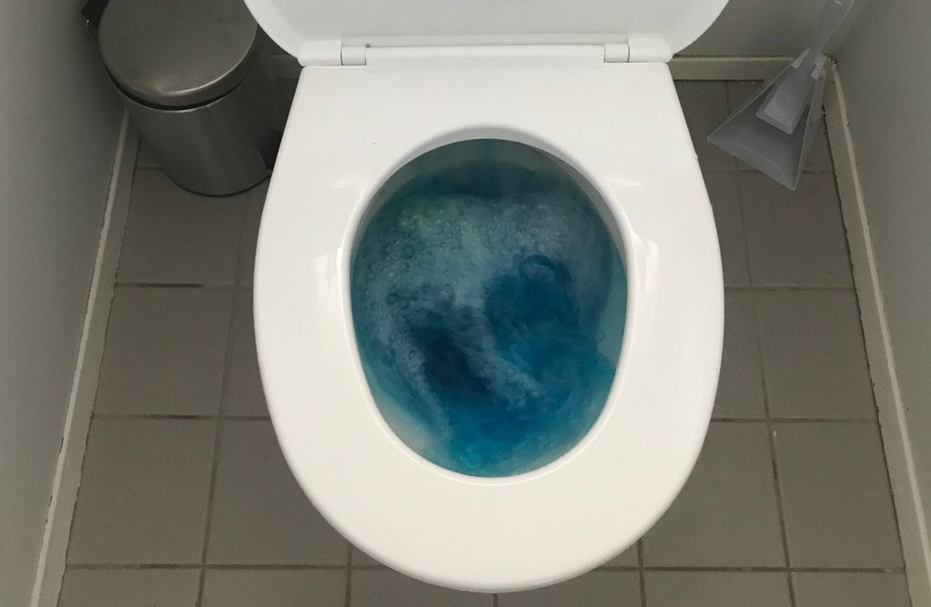 Blocked Toilet On The Gold Coast Blue (1)